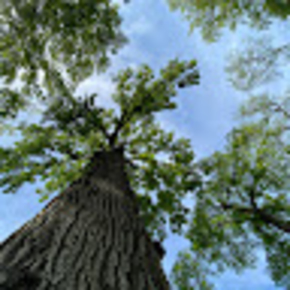 Meet your Posher, Jason - Picture 1 of 1